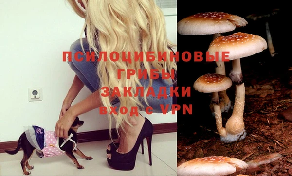 мяу мяу кристалл Михайловка