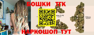 шишки Гусиноозёрск
