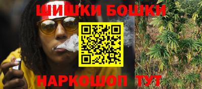 шишки Гусиноозёрск
