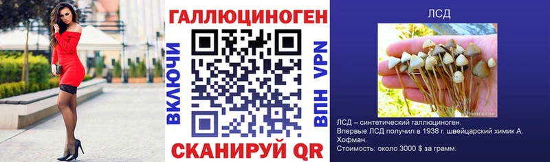 ОМГ ОМГ как войти  где купить наркоту  Кингисепп  Псилоцибиновые грибы мухоморы 
