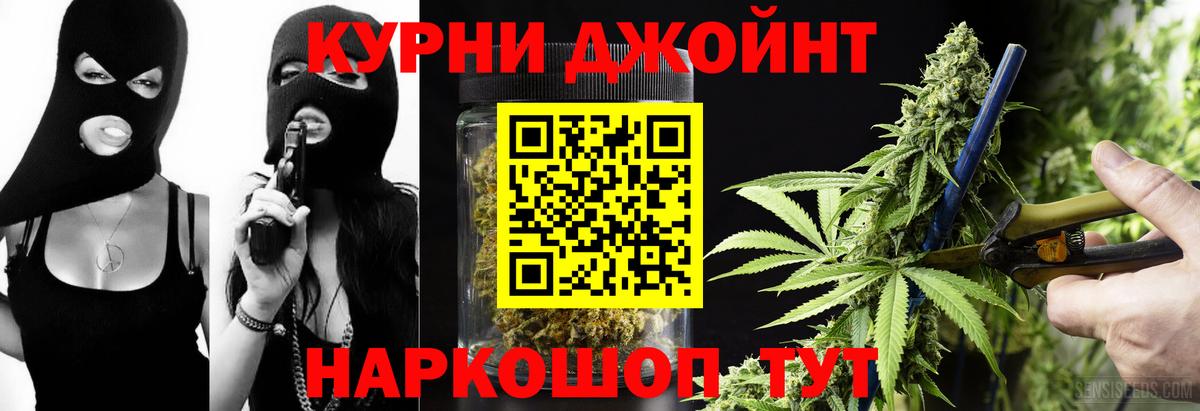 Конопля AK-47  Бошки Шишки ГИДРОПОН  Кингисепп  Вход с VPN  Конопля тримм 